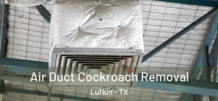 Air Duct Cockroach Removal Lufkin - TX