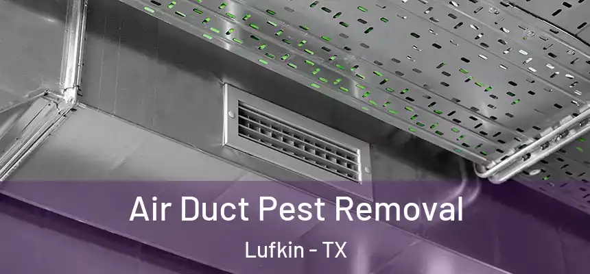 Air Duct Pest Removal Lufkin - TX