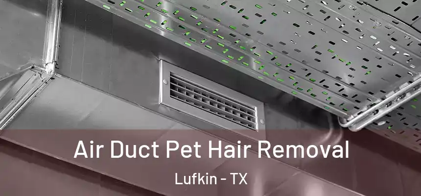 Air Duct Pet Hair Removal Lufkin - TX