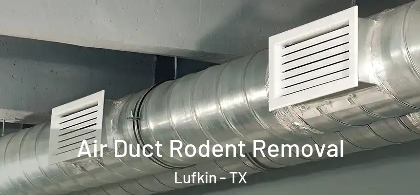 Air Duct Rodent Removal Lufkin - TX