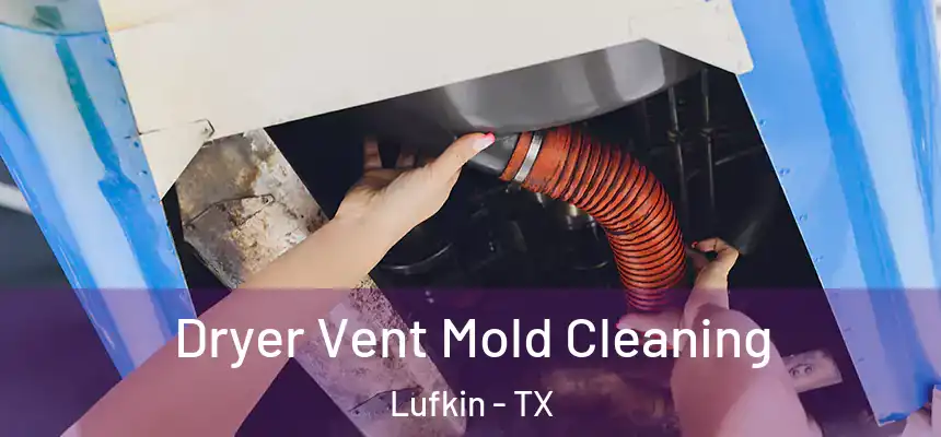 Dryer Vent Mold Cleaning Lufkin - TX