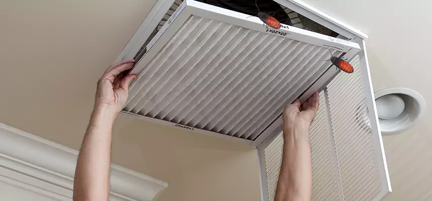 Preventive Cockroach-Proofing for Ducts in Lufkin