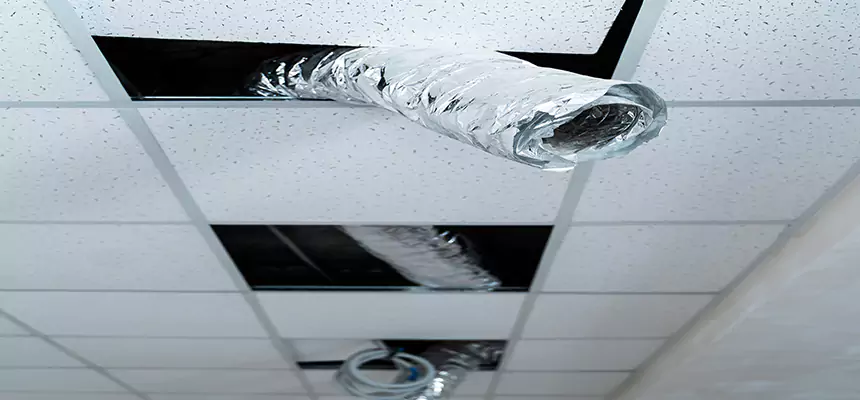 Our Air Duct Pet Hair Removal Services in Lufkin, TX