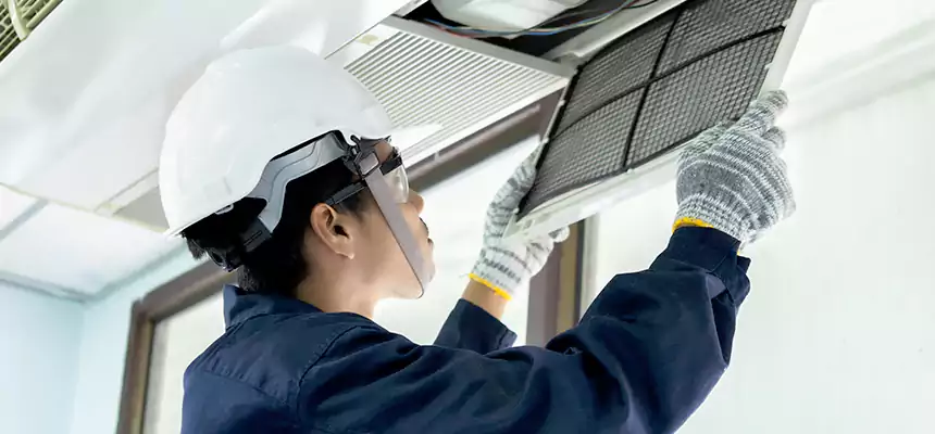 Our Mold & Mildew Removal from Air Ducts Services in Lufkin, TX