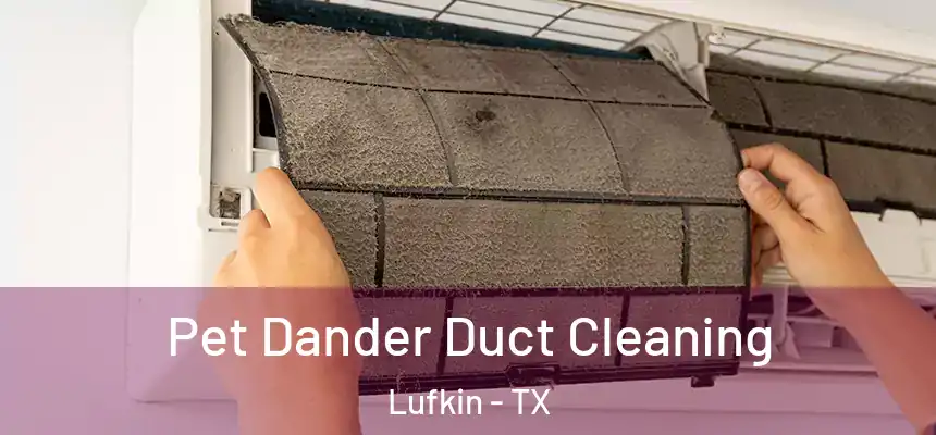 Pet Dander Duct Cleaning Lufkin - TX