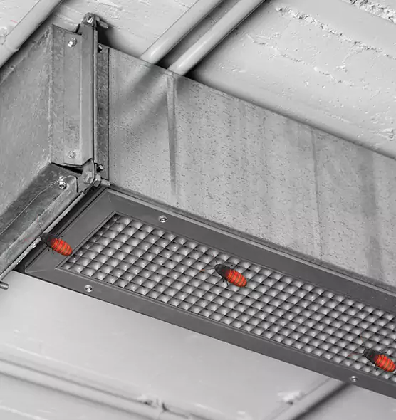 About Air Duct Cockroach Removal in Lufkin, TX