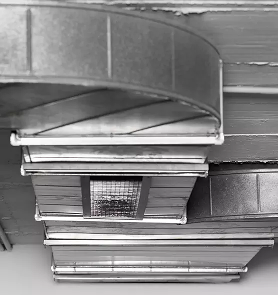 Professional Air Duct Pet Hair Removal in Lufkin, TX