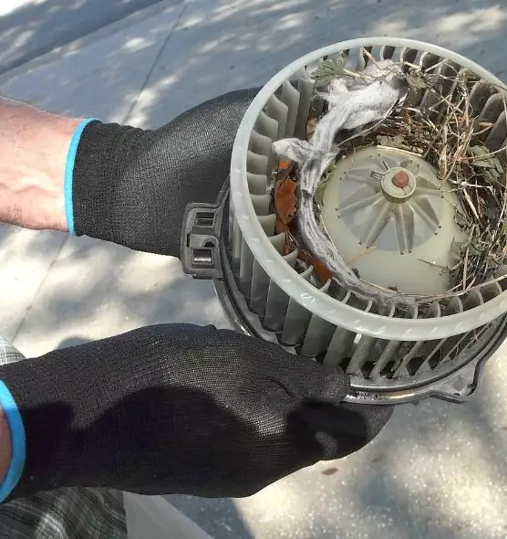 About Air Duct Rat Removal in Lufkin, TX