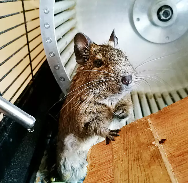 Why Homeowners & Businesses Trust Us Lufkin, TX