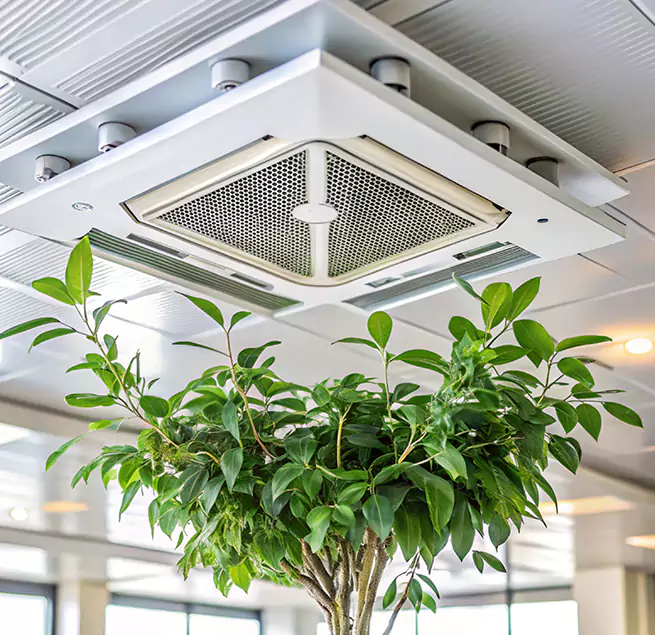 Why Homeowners & Businesses Trust Us in Lufkin, TX